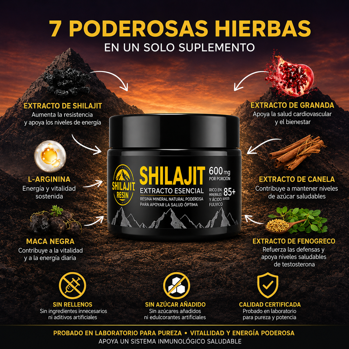 Shilajit Royal™ | Potencia Natural Masculina